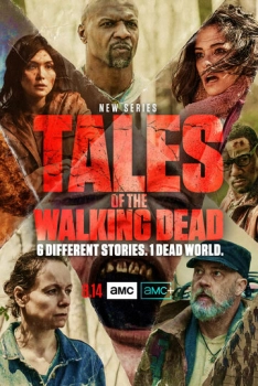 Walking Dead Stories