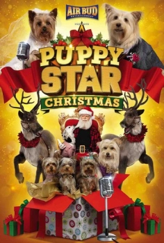 Star Puppy Christmas
